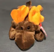 TY Beanie Original Baby Chocolate the Moose with Tags