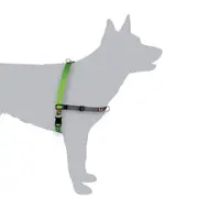 BlackDog Wear Black Dog Balance Harness Dog Training Mini - Xlarge [Colour: Green] [Size: Medium]