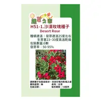 在飛比找PChome24h購物優惠-【蔬菜工坊】H51-1.沙漠玫瑰種子