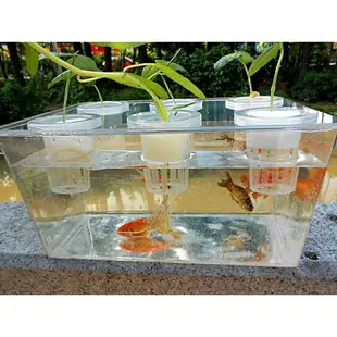 【臺灣特價】送禮物 家庭魚菜共生系統 生態草缸烏龜水族箱 小型透明金魚缸 造景花瓶桌面綠植