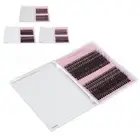 240pcs False Eyelash Clusters D Curl Lifelike Individual Fake Lashes Set For HR6