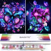 Paint by Numbers Kit for Adults Beginners12" Wx16 L 2 Pack Canvas for Paintin...