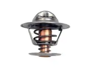 For 1974-1981 Volkswagen Dasher Thermostat 37272WSRS 1975 1976 1977 1978 1979 (for: Volkswagen)