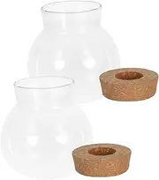 Alasum 2pcs Glass Hydroponic Planters for Indoor Plants Compact Decorative Vases for Desktop Decor Versatile Propagation Containers for Plant Enthusiasts