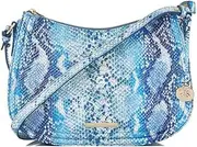 [BRAHMIN] Shayna, Joyful