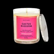 Bath & Body Works White Barn Cactus Blossom Scented Candle