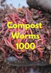 Live Worms with FREE WORM CHOW [COMPOST fishing bait Fertiliser]1000