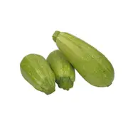 Organic Lebanese Zucchini – Fresh, healthy organic delivery | Doorstep Organics
