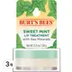 BURT'S BEES 小蜜蜂爺爺 護唇膏