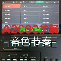 在飛比找露天拍賣優惠-【可開發票】現貨 】美得理A2000電子琴節奏擴展包節奏音色