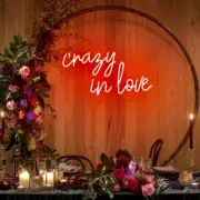 Crazy In Love Red Neon Sign Lamp Light 24"x16" Acrylic Glass With Dimmer VH