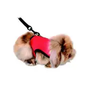 Trixie Harness with Lead for Small Guinea Pigs