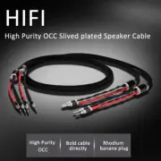 Pair OCC Silver Plated Speaker Cable Audio Line with Rhodium Plated Banana Plugs