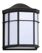 JONATHAN Y Henry 9.7in Outdoor Frosted Acrylic Metal Integrated LED Sconce