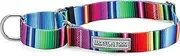 Lucky Love Dog Martingale Collar | Premium No Slip Collar | Great for Whippets, Greyhounds, and More (Medium, Nacho )