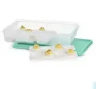 Tupperware Snack N Store With Egg Inserts! NEW!