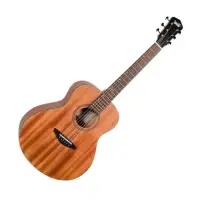 在飛比找momo購物網優惠-【Veelah】VMCMM 桃花心合版系列 41吋 木吉他(