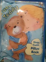 Barrons Brand Multicolor Fabric Cuddle Up Teddy Pillow Book