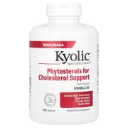 Kyolic, Aged Garlic Extract™, Formula 107, 240 Capsules