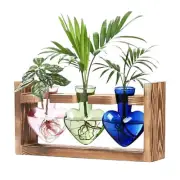 Plant Stand Home Garden Air Terrarium With Wooden Propagation Stations Heart
