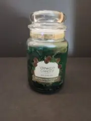 Yankee Candle BALSAM FIR 22 oz LGE JAR 50th ANNIVERSARY COLLECTION HOLIDAY FAV