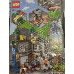 LEGO 樂高 21169 MINECRAFT 麥塊