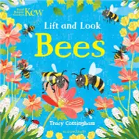 在飛比找三民網路書店優惠-Kew: Lift and Look Bees