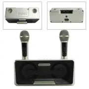 Wireless Bluetooth Dual Microphone Karaoke All-In-One Speaker for Home Outdoor