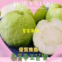 在飛比找Yahoo!奇摩拍賣優惠-燕巢牛奶帝王芭樂中大果10入【皇家果物】免運