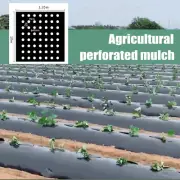 Garden Plastic Vegetable Mulch Film PE Greenhouse Mulch Weeding Film Perforated