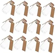 25ml Mini Glass Bottles Softwood Cork Tag Compact Wishing Containers for DIY Projects Events