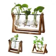 Wooden Stand Hanging Glass Vase Terrarium Hydroponics Container Pot Decor