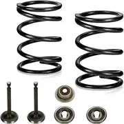 FVRITO Racing 18lb Valve Springs Kit for Predator 196cc 212cc 224cc Non Hemi Honda GX160 GX200 6.5HP OHV Clone Engine Mini Bike CT200U BT200X Powerhorse 208cc Tillotson KT196 Go Kart Performance Parts