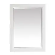 Vanity Mirror 27.25X32.00 Inch Vertical Framed Beveled Edge Bathroom Rectangular