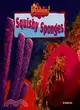 Squishy Sponges