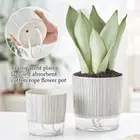 With Water Container Succulent Planter Lazy Flower Pot Garden Supplies