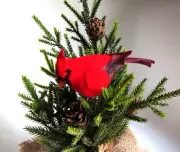 Mini 12" Faux Spruce Glittery Tree Red Cardinal Pine Cones in Burlap Pot - NEW