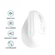 Mouse Wireless Bluetooth Ergonomic RGB Rechargeable 4000DPI 6 Mute Buttons