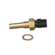 Fuel Injection Thermal / Time Switch Standard TS655