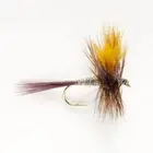 1/2 Dozen Dark Hendrickson Dry Flies