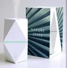 Nature State Ultrasonic Essential Oil Diffuser Wellness Relaxation Aromatherapy