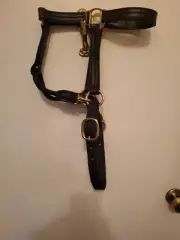 Leather full size Horse Halter. Double adj crown. Snap Throat Latch Handmade