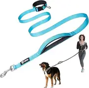 TSPRO Hands Free Dog Leash Adjustable Walking Running Dog Leash with Control Safety Padded Handle and Heavy Duty Clasp for Medium Large Dogs (Blue 25)