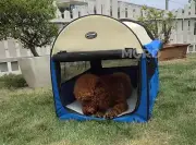 Portable Pet Soft Carry Bag Travel Dog Cat Crate Cage Tent House CollapsibleM-XL