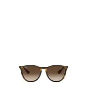 Ray-Ban Erika Classic Sunglasses 54 Green