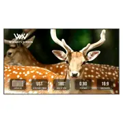 Winways UST Throw ALR Fixed Frame Lenticular Screen