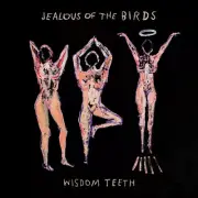 Wisdom Teeth by Jealous of the Birds (Record, 2019)