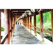 Save 30.00%! Nara: Explore Hasedera’s Giant Kannon and Cliffside Temple