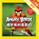 Angry Birds憤怒鳥的真面目：50種橫眉豎目、怒氣沖沖的憤怒鳥類[二手書_良好]11314996442 TAAZE讀冊生活網路書店