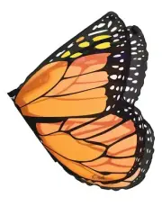 Douglas Toys Orange Monarch Butterfly Wings